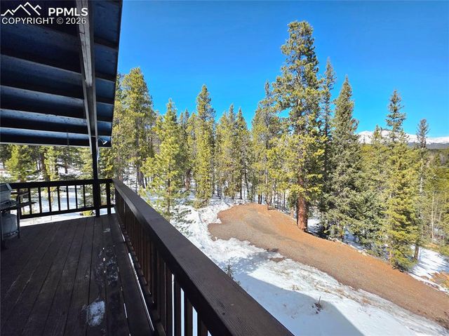 211 Pine Ridge Road, Alma, CO 80420