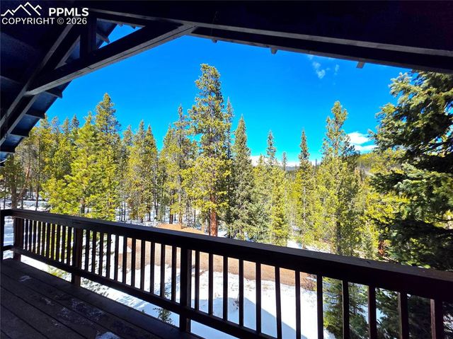 211 Pine Ridge Road, Alma, CO 80420