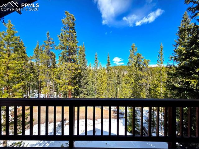 211 Pine Ridge Road, Alma, CO 80420