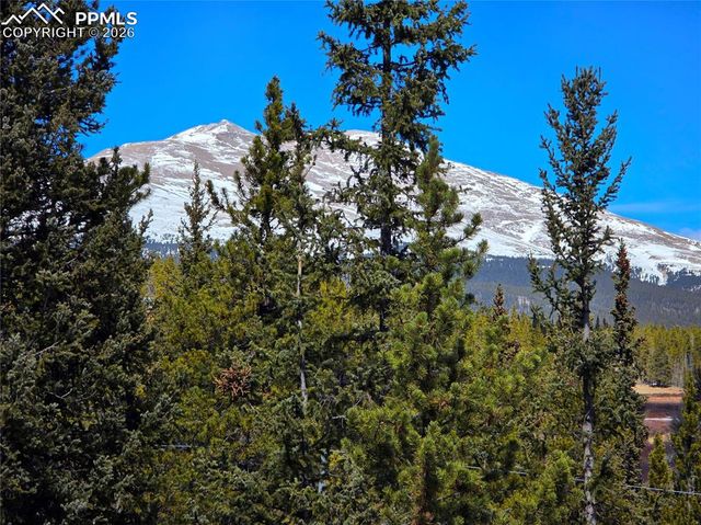 211 Pine Ridge Road, Alma, CO 80420