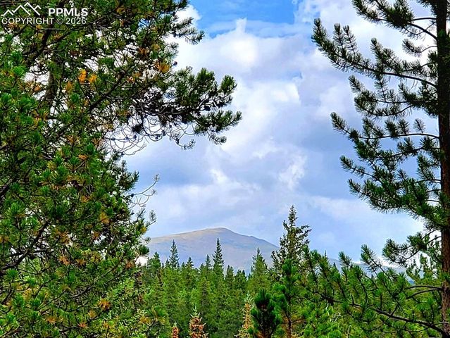 211 Pine Ridge Road, Alma, CO 80420