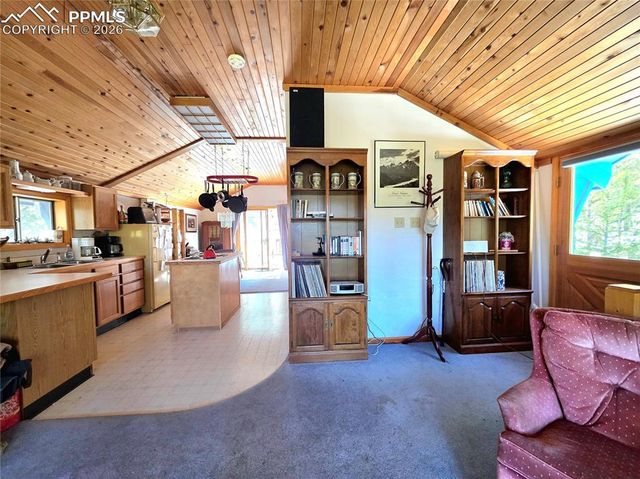 211 Pine Ridge Road, Alma, CO 80420