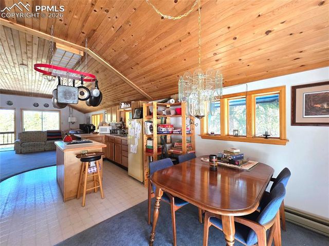 211 Pine Ridge Road, Alma, CO 80420