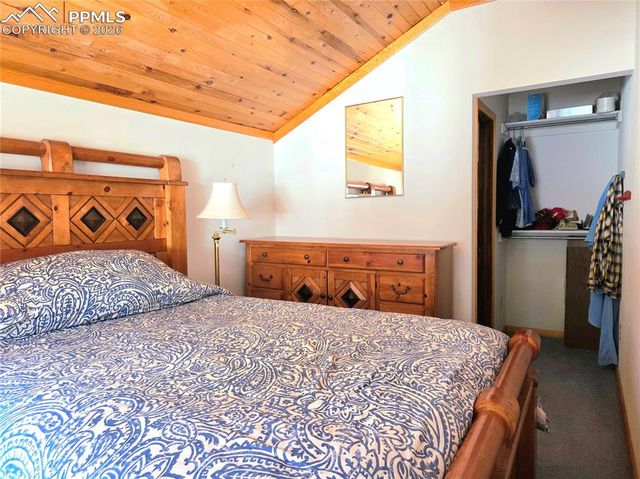 211 Pine Ridge Road, Alma, CO 80420