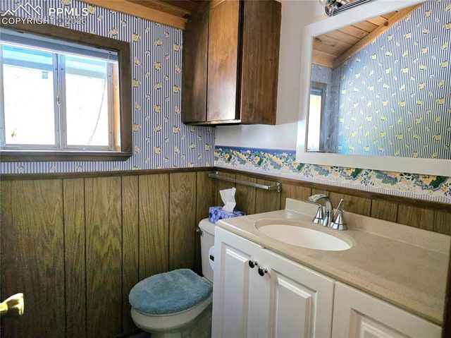 211 Pine Ridge Road, Alma, CO 80420