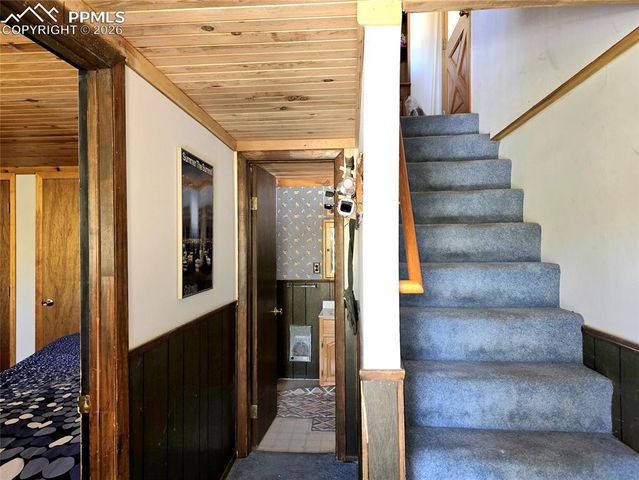 211 Pine Ridge Road, Alma, CO 80420