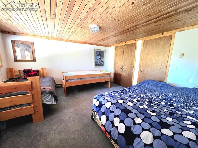 211 Pine Ridge Road, Alma, CO 80420