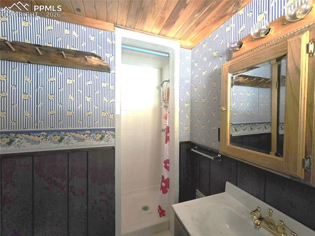 211 Pine Ridge Road, Alma, CO 80420