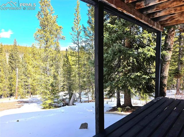 211 Pine Ridge Road, Alma, CO 80420