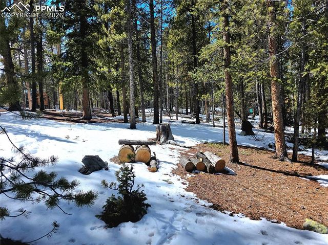 211 Pine Ridge Road, Alma, CO 80420