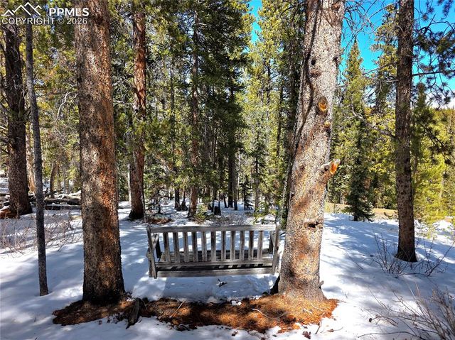 211 Pine Ridge Road, Alma, CO 80420