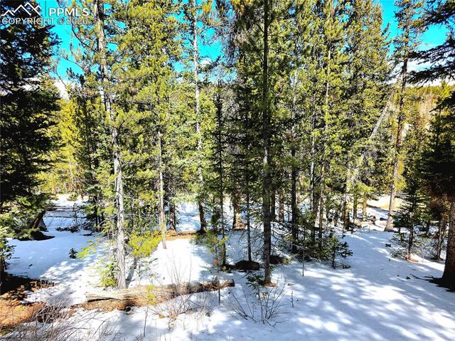 211 Pine Ridge Road, Alma, CO 80420