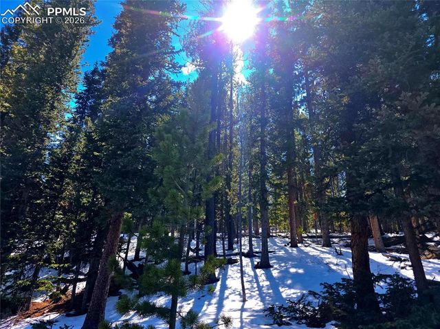 211 Pine Ridge Road, Alma, CO 80420