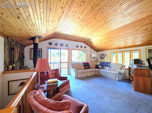 211 Pine Ridge Road, Alma, CO 80420