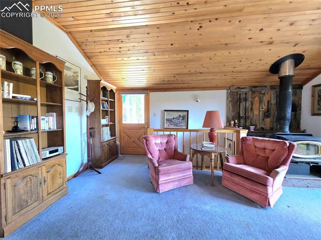 211 Pine Ridge Road, Alma, CO 80420