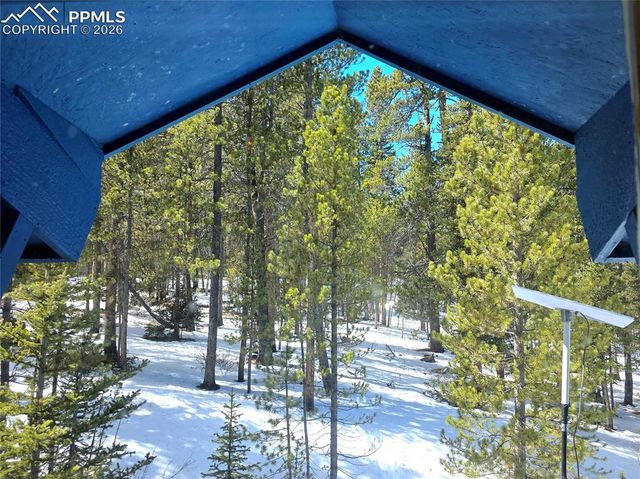 211 Pine Ridge Road, Alma, CO 80420