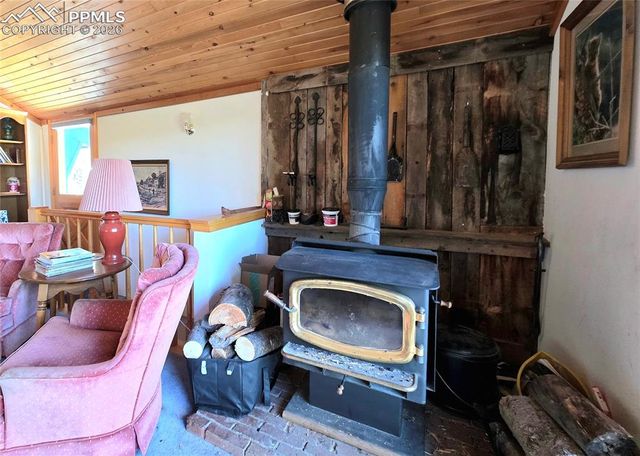 211 Pine Ridge Road, Alma, CO 80420