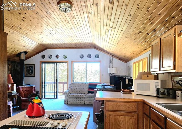 211 Pine Ridge Road, Alma, CO 80420