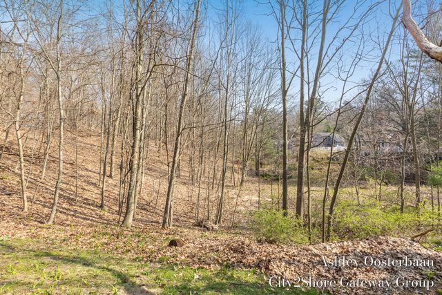 17265 Rolling Dunes Drive, West Olive, MI 49460