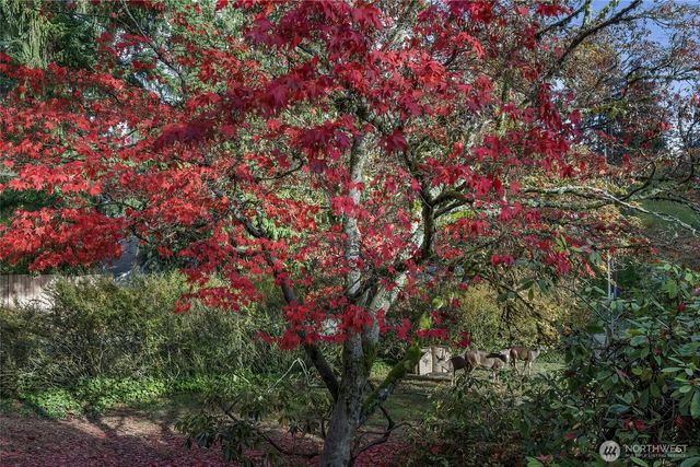 2203 NE 177th Street, Shoreline, WA 98155