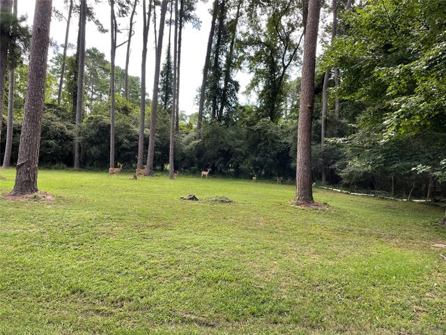 80 Indian Harbor, Trinity, TX 75862