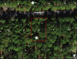 898 W Bannister Drive, Citrus Springs, FL 34434