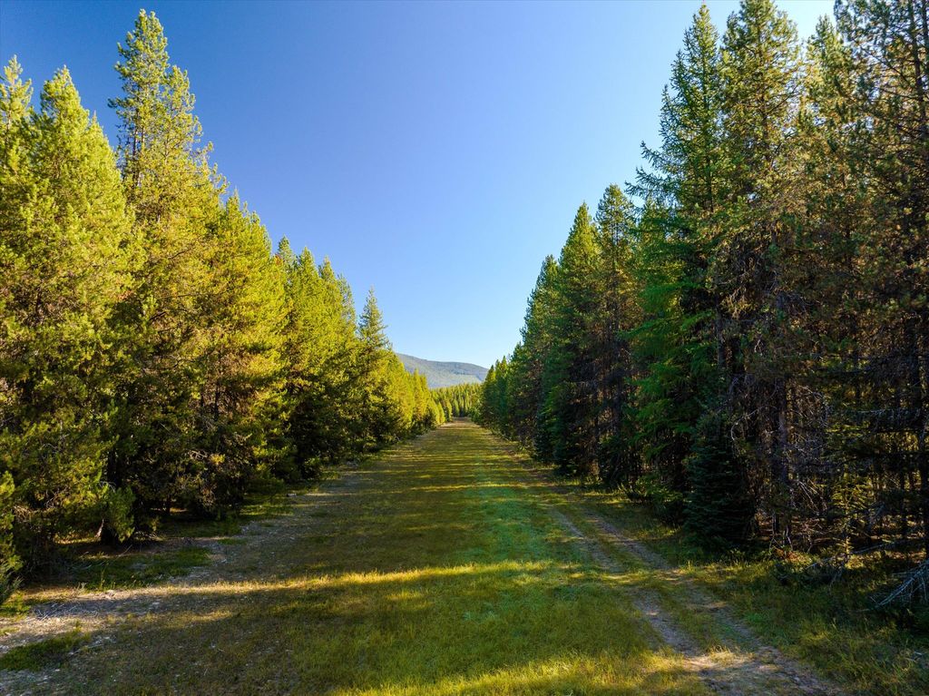 355 Upper Ford Cut Off Road, Yaak, MT 59935 photo 8