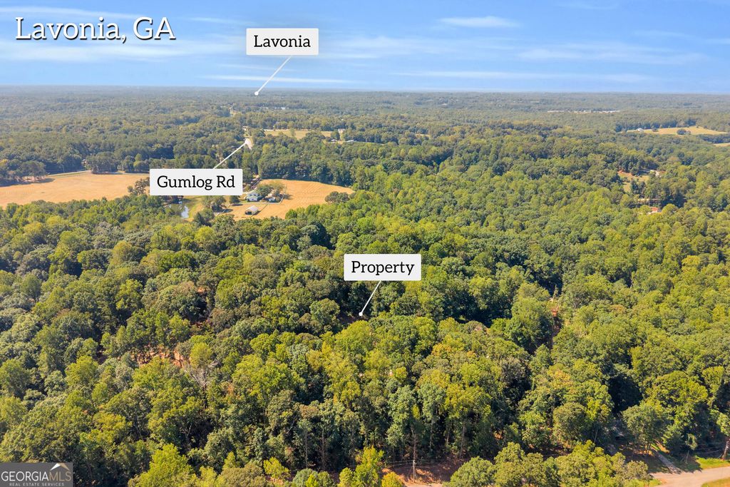 0 Ridgeview Court, Lavonia, GA 30553 — photo 5