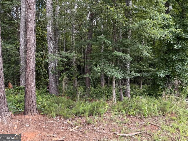 0 Maddox, Jefferson, GA 30549