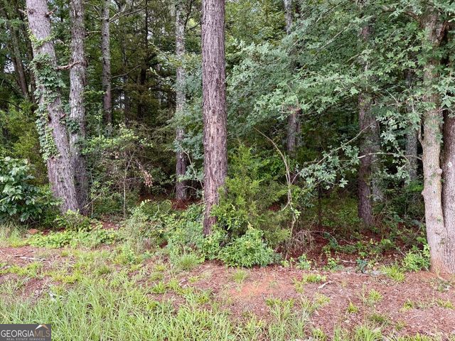 0 Maddox, Jefferson, GA 30549