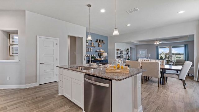 11205 TREEHOUSE Trail, Justin, TX 76247