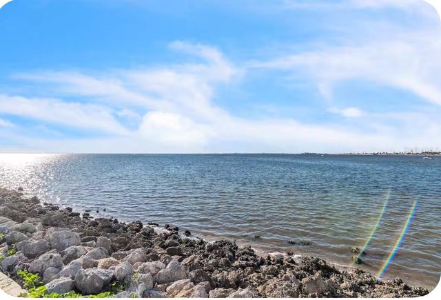 2506 N ROCKY POINT DRIVE 209, Tampa, FL 33607
