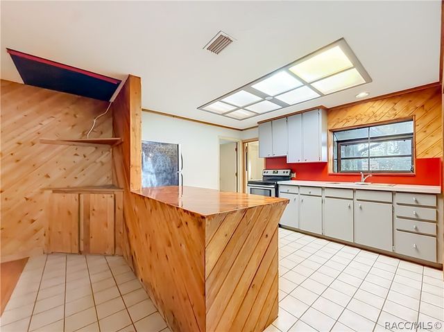 8980 E Devilsneck Road, Floral City, FL 34436