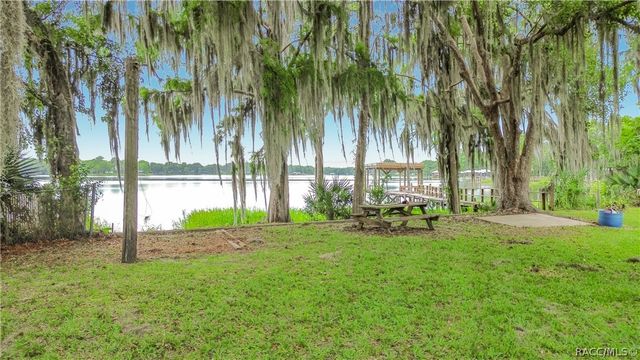 8980 E Devilsneck Road, Floral City, FL 34436