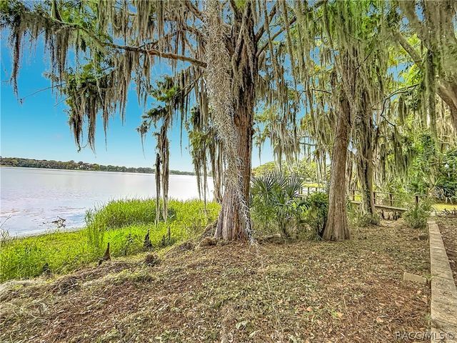 8980 E Devilsneck Road, Floral City, FL 34436