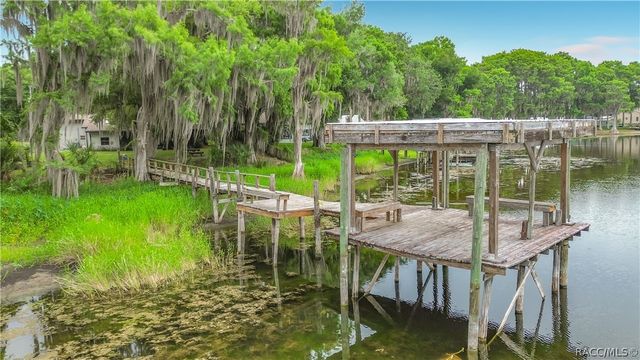 8980 E Devilsneck Road, Floral City, FL 34436