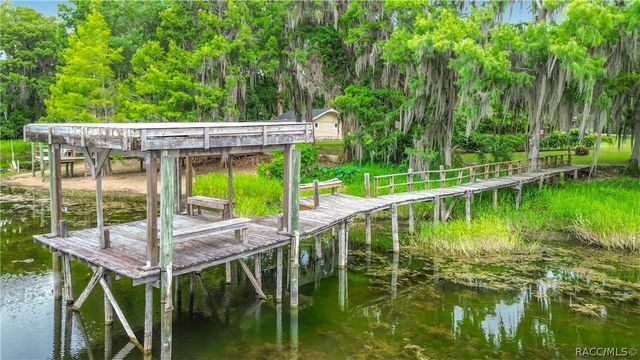 8980 E Devilsneck Road, Floral City, FL 34436