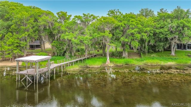 8980 E Devilsneck Road, Floral City, FL 34436