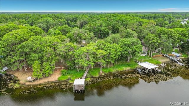 8980 E Devilsneck Road, Floral City, FL 34436