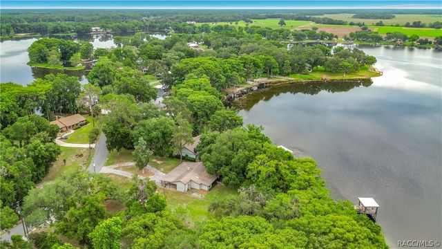 8980 E Devilsneck Road, Floral City, FL 34436