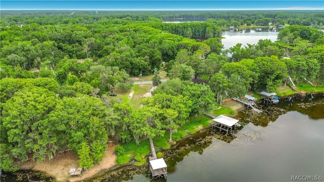 8980 E Devilsneck Road, Floral City, FL 34436