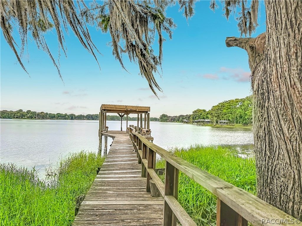 8980 E Devilsneck Road, Floral City, FL 34436