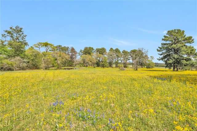 15487 County Road 228, Bedias, TX 77830