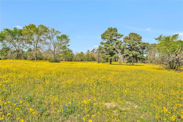 15487 County Road 228, Bedias, TX 77830