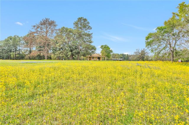 15487 County Road 228, Bedias, TX 77830