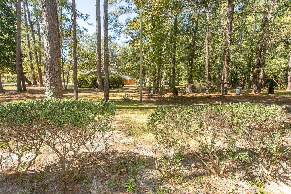 2486 Highway 544, Conway, SC 29526 — photo 4