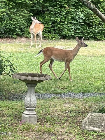 4415 Angier Avenue, Durham, NC 27703