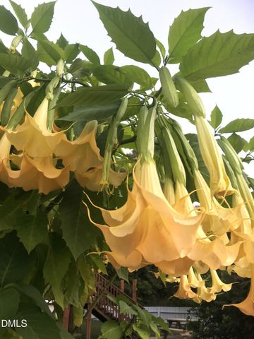 4415 Angier Avenue, Durham, NC 27703