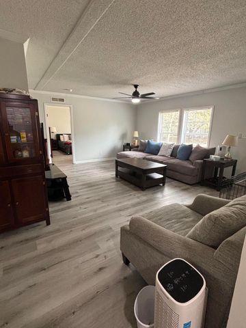 155 Grapevine Road, Summerville, SC 29483