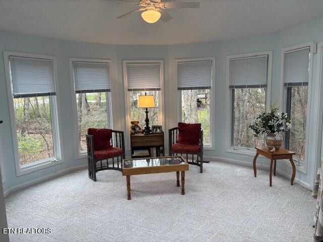 101 Hilton Lane, Crossville, TN 38558